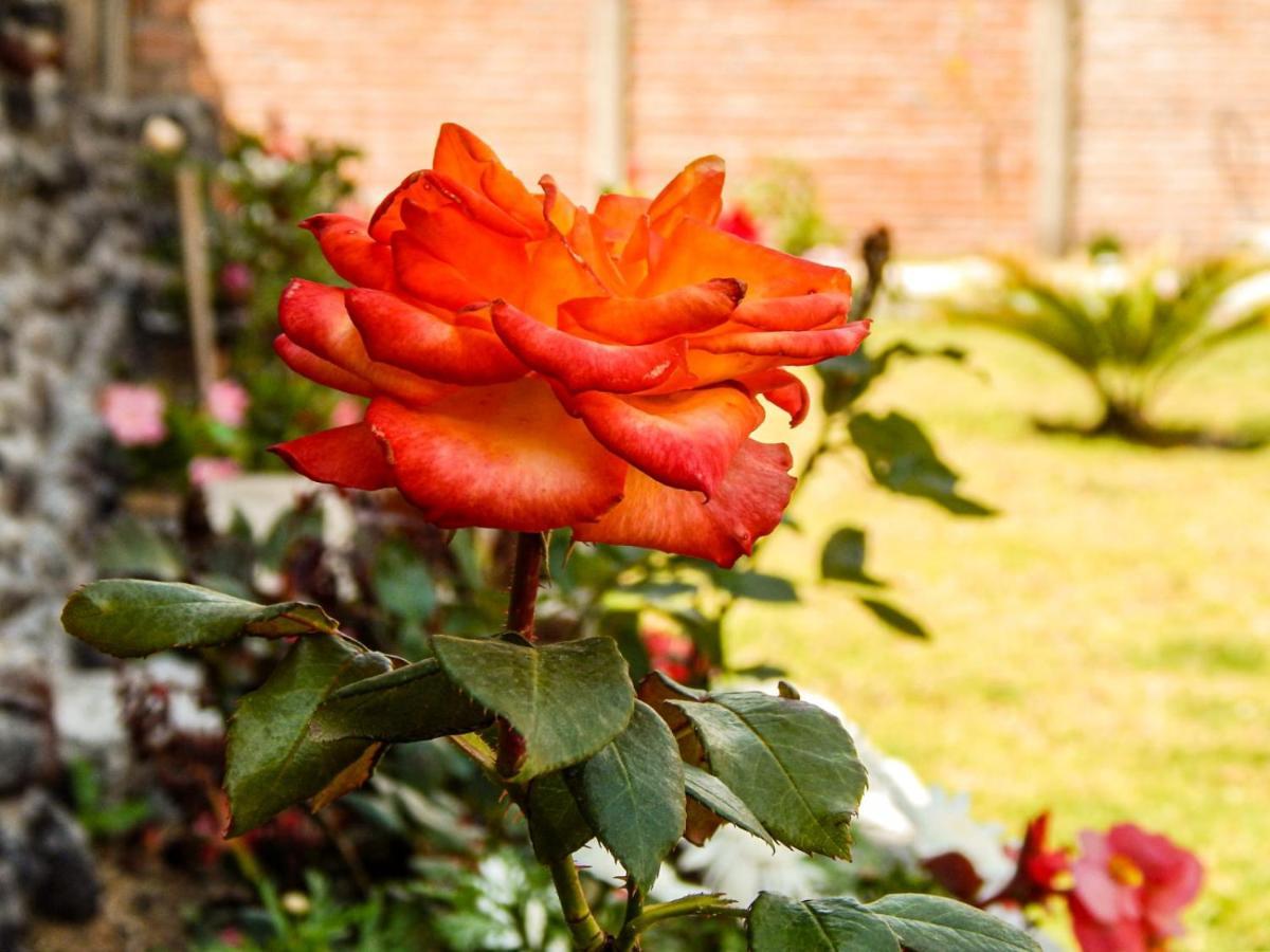 فندق Quillullacoفي  Pampa Garden المظهر الخارجي الصورة
